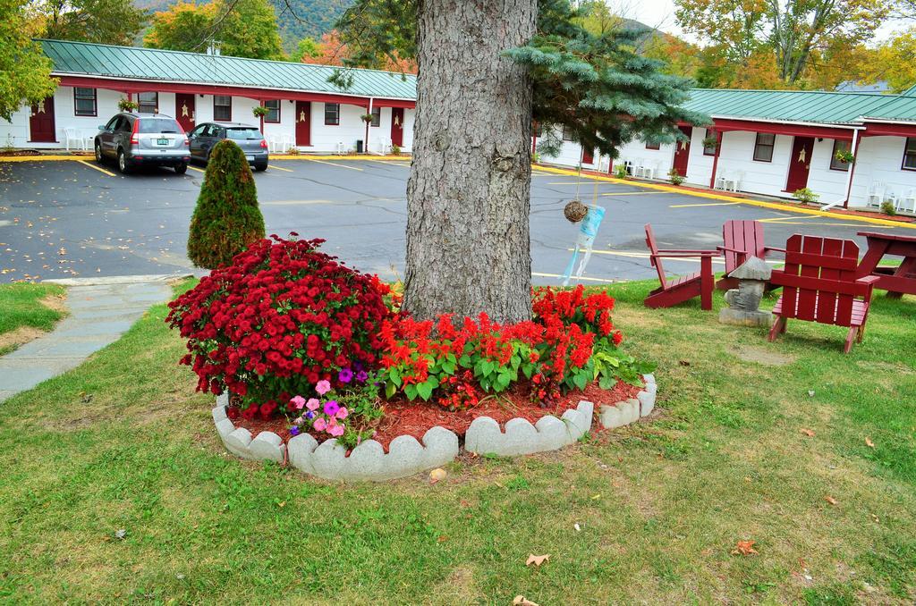 Williamstown Motel Экстерьер фото